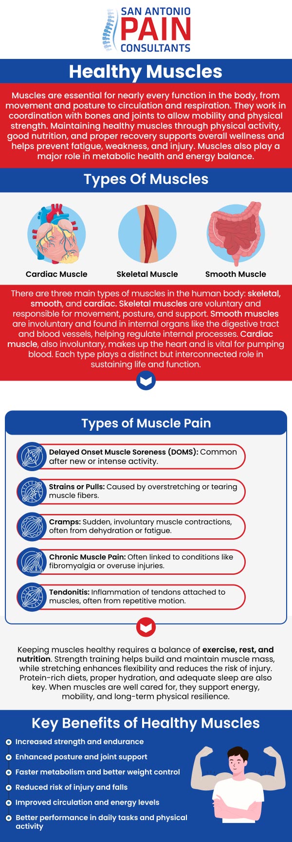 Muscles are vital for every movement, from walking and lifting to posture and coordination. If you’re experiencing muscle weakness, strain, or chronic tension, our team is here to help. At San Antonio Pain Consultants P.A., Dr. Darius Zagunis, M.D., offers muscle-focused evaluations and treatments to restore strength and flexibility. We create personalized plans to reduce discomfort and improve function so your muscles can perform efficiently. For more information, contact us or schedule an appointment online. We are located at 3903 Wiseman Blvd, Ste 117, San Antonio, TX 78251. Muscles are vital for every movement, from walking and lifting to posture and coordination. If you’re experiencing muscle weakness, strain, or chronic tension, our team is here to help. At San Antonio Pain Consultants P.A., Dr. Darius Zagunis, M.D., offers muscle-focused evaluations and treatments to restore strength and flexibility. We create personalized plans to reduce discomfort and improve function so your muscles can perform efficiently. For more information, contact us or schedule an appointment online. We are located at 3903 Wiseman Blvd, Ste 117, San Antonio, TX 78251.