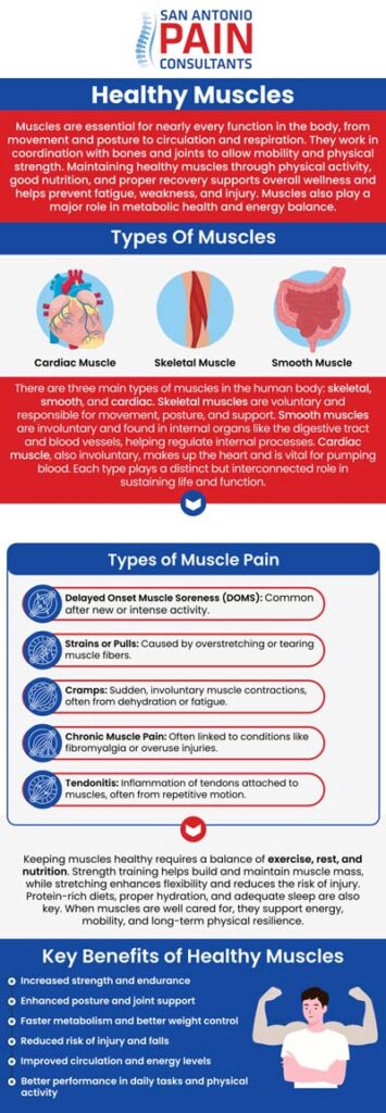Muscles are vital for every movement, from walking and lifting to posture and coordination. If you’re experiencing muscle weakness, strain, or chronic tension, our team is here to help. At San Antonio Pain Consultants P.A., Dr. Darius Zagunis, M.D., offers muscle-focused evaluations and treatments to restore strength and flexibility. We create personalized plans to reduce discomfort and improve function so your muscles can perform efficiently. For more information, contact us or schedule an appointment online. We are located at 3903 Wiseman Blvd, Ste 117, San Antonio, TX 78251. Muscles are vital for every movement, from walking and lifting to posture and coordination. If you’re experiencing muscle weakness, strain, or chronic tension, our team is here to help. At San Antonio Pain Consultants P.A., Dr. Darius Zagunis, M.D., offers muscle-focused evaluations and treatments to restore strength and flexibility. We create personalized plans to reduce discomfort and improve function so your muscles can perform efficiently. For more information, contact us or schedule an appointment online. We are located at 3903 Wiseman Blvd, Ste 117, San Antonio, TX 78251.